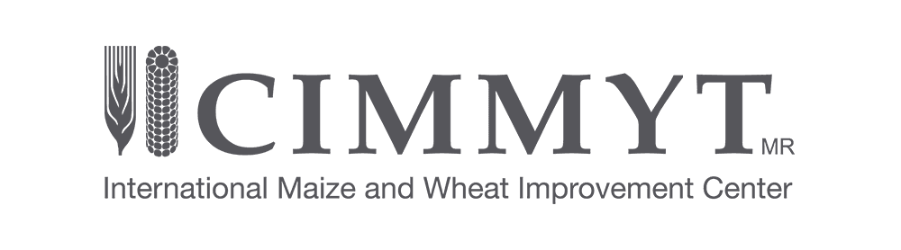 International Maize and Wheat Improvement Center (CIMMYT)