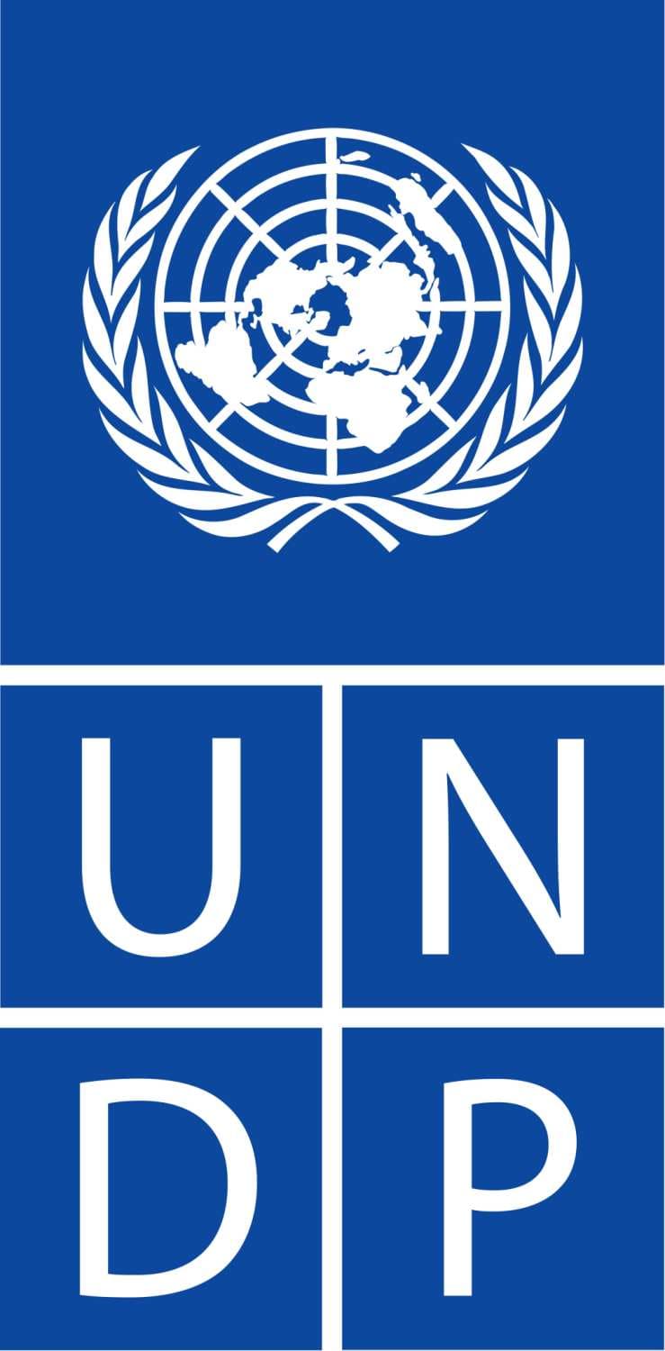 UNDP (United Nations Development Programme)