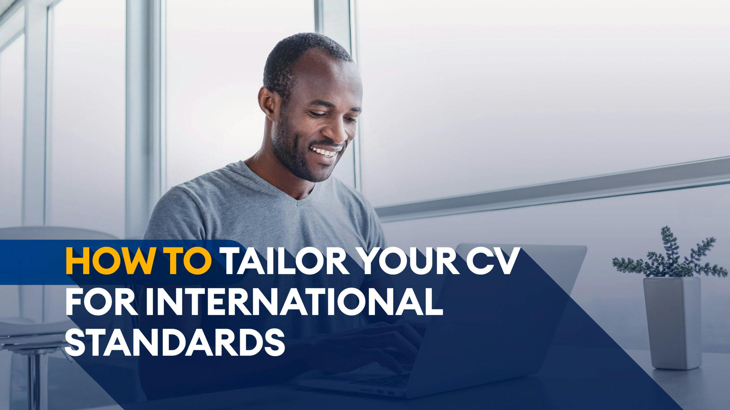How To Tailor Your CV For International Standards : Elevolt Blog