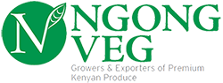 Ngong Veg Ltd